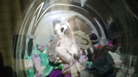 IMG_20160223_114933755