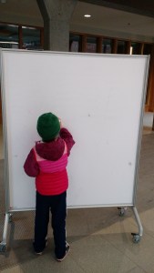 IMG_20170422_132215364